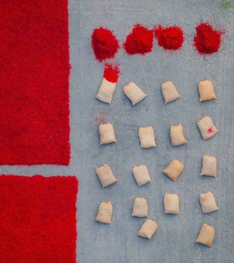 Bhut Jolokia Hot Chilli