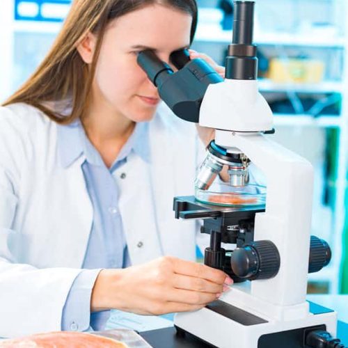 Metal Detection & Laboratory Testing